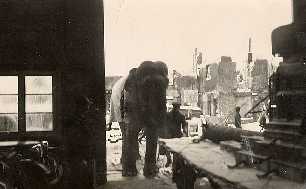 Elefant bei Aufräumarbeiten in den Nachkriegsjahren | ELBE Maschinenbau